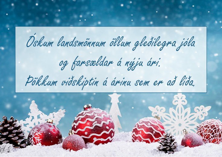 Gleðileg Jól og Farsælt komandi ár