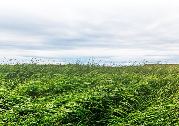 Sáðvörulisti 2023