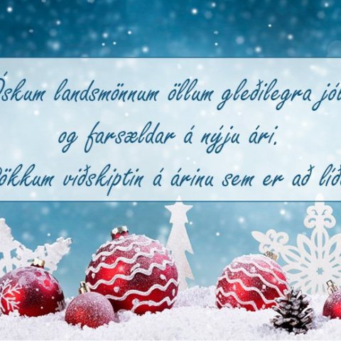 Gleðileg Jól og Farsælt komandi ár