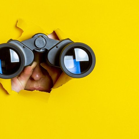 Erum við að leita að þér?