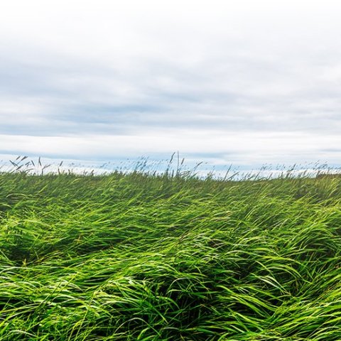 Sáðvörulisti 2023