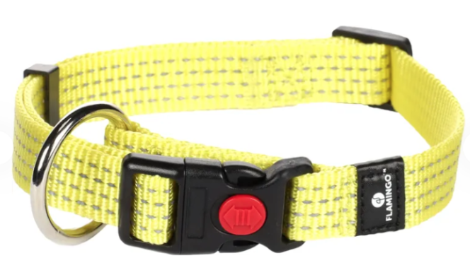 Hundaól Fluor gul L 45-65cm