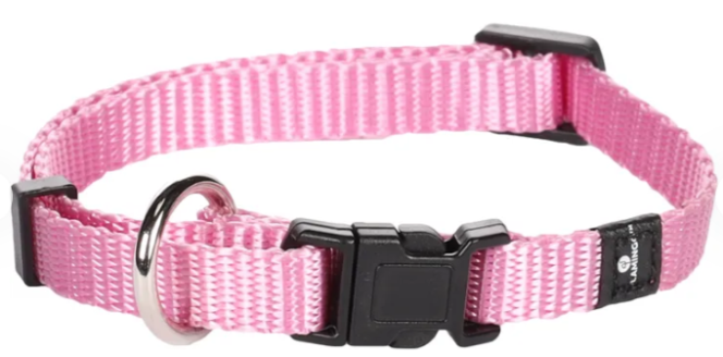 Hundaól Ziggi bleik XS 20-35cm