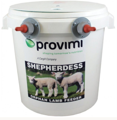 Lambaf&oacute;stra, Shepardess