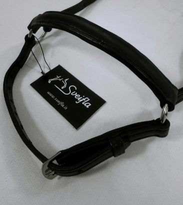 Sveifla Nasam&uacute;ll svartur