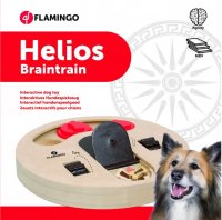 Wooden brain train helios