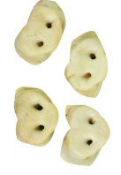 Nature puffed pig snout 4pcs