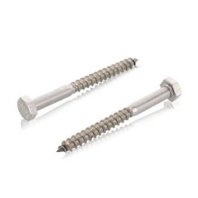 Frönsk Skrúfa HG 10x80mm 25stk