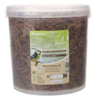 4 &aacute;rst&iacute;&eth;ir &thorn;urrka&eth;ir ma&eth;kar 540gr &iacute; f&ouml;tu