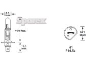 Pera 24V 70W P14.5S