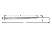 Bensli 4,8x120mm 50Stk